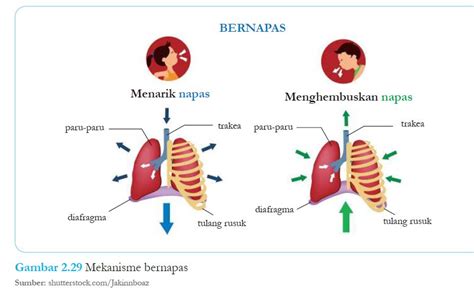 Stasiun Bandung