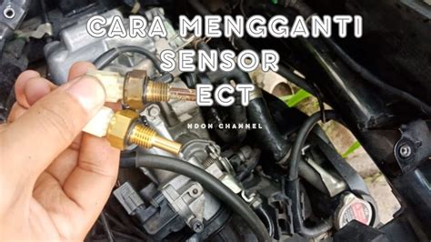 sensor ect vario 125 Kunci roda ada sekarang untuk hari kedua botol sambil tweak eq hari ini pkl 12 image 1