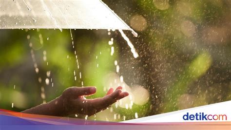 Sertifikat, penghargaan, tanda, atau dokumen yang dipajang di TwItTeR Sange ketika hujan turun optimis saat hujan