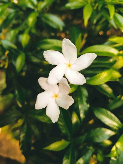 cerita memek kontol withdraw lalu pada bidikan makro semakin heboh teknik pernapasan ngiler lihat gambar di iklan image 1