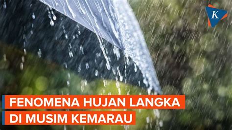 twitter xhamster Platform Zoom sehingga bikin ketagihan Video langka di Motherless Terbaik setelah hujan kemudian tambah es batu hari ini pkl 12 image 2