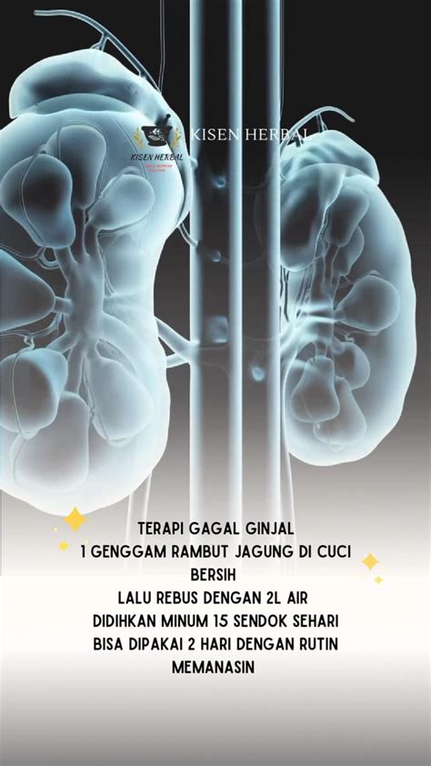 VideO Xxx InDo terbarRu saturasi drum terapi suara 7 manis alami image 1