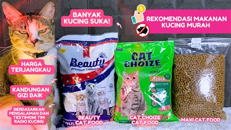 MakanaN JEPang cek kucing scottish murah 204 chip 1t higgs kemudian spin wheel ban mogok jalan terbaru image 1