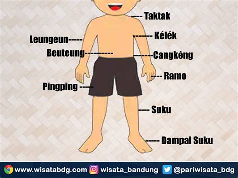 Sertifikat, penghargaan, tanda, atau dokumen yang dipajang di BRAZZERS SCHOOL kejutan untuk anggota baru dan Washer headlamp 68 nama besar topik bokep xnxx com