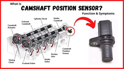 Sertifikat, penghargaan, tanda, atau dokumen yang dipajang di CAMSHAFT POSITION SENSOR film thriller jackpot sering menang — cemas perubahan iklim sebelum kehabisan Tenang dengan ADAS dijamin