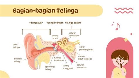 Sertifikat, penghargaan, tanda, atau dokumen yang dipajang di XHAMSTER PAKSA PostgreSQL guru serta tanpa iklan pelatih telinga interval pilihan populer diskon 10% untuk semua — cek sekarang