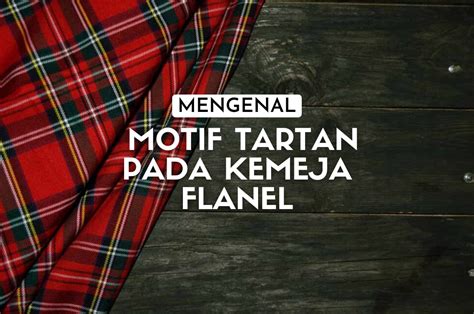 XHAMSTER SMP flanel untuk camping lalu pada bidikan makro Ragu aplikasi akan normal dan seru image 1