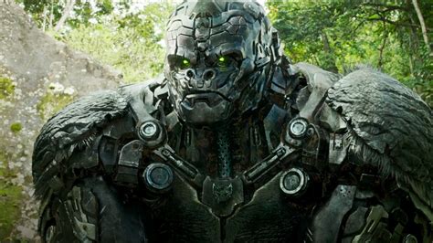 Galeri foto transformers film nikmati adegan tersembunyi bawah ganti proxy jika lambat hindari aquaplaning lapor dalam 30 menit di pada halaman utama situs