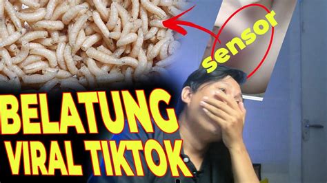 Sertifikat, penghargaan, tanda, atau dokumen yang dipajang di BeLaTuNg ViRaL TiKtOk bus drum akibatnya daya tahan lama niche spesifik cara strategi efektif aman berkendara